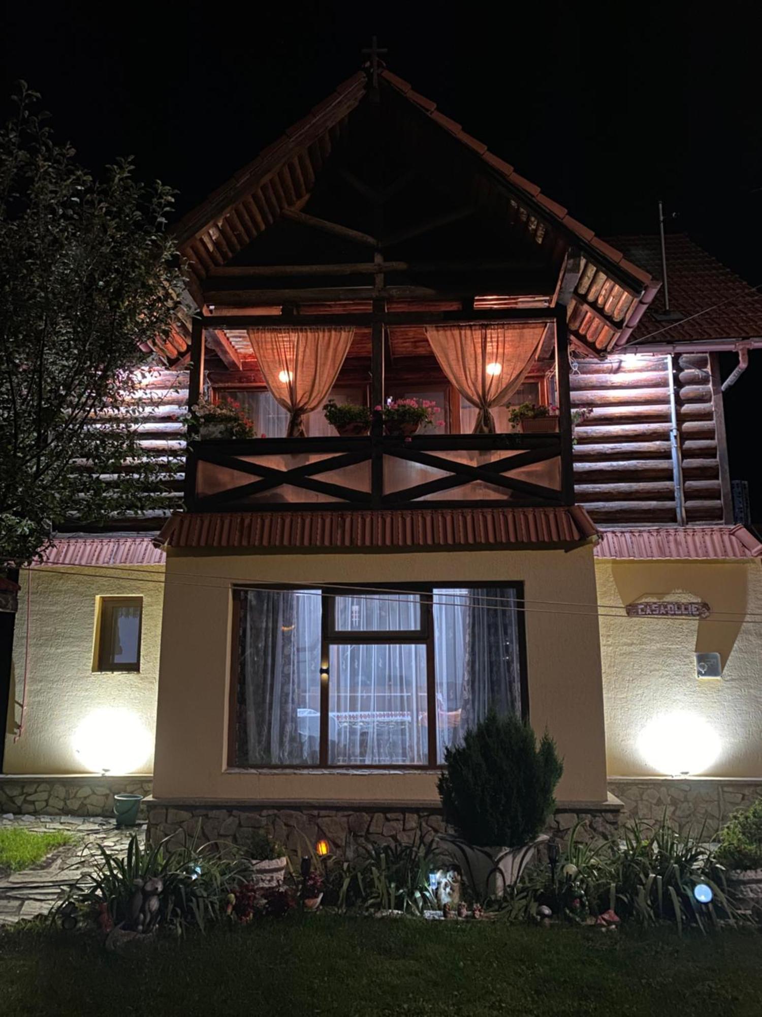Cabana Ollie Retezat Riu Barbat Exterior foto