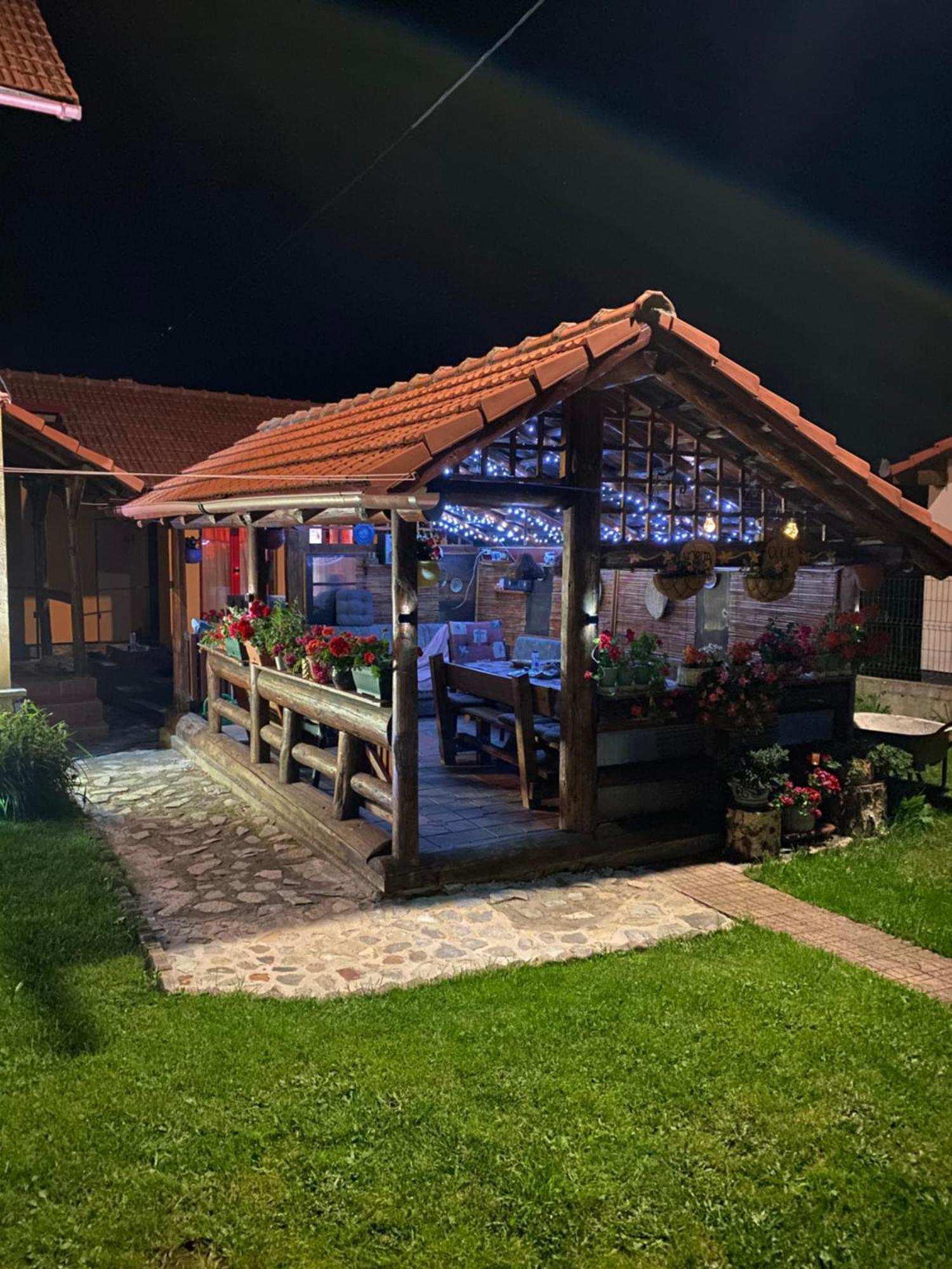 Cabana Ollie Retezat Riu Barbat Exterior foto