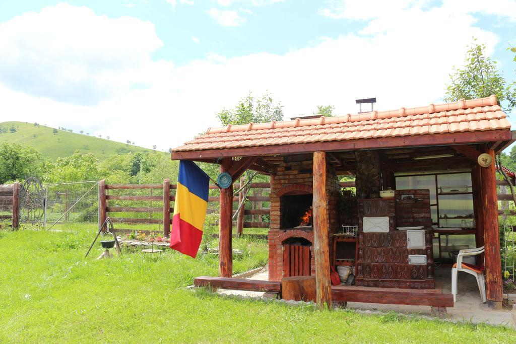 Cabana Ollie Retezat Riu Barbat Exterior foto