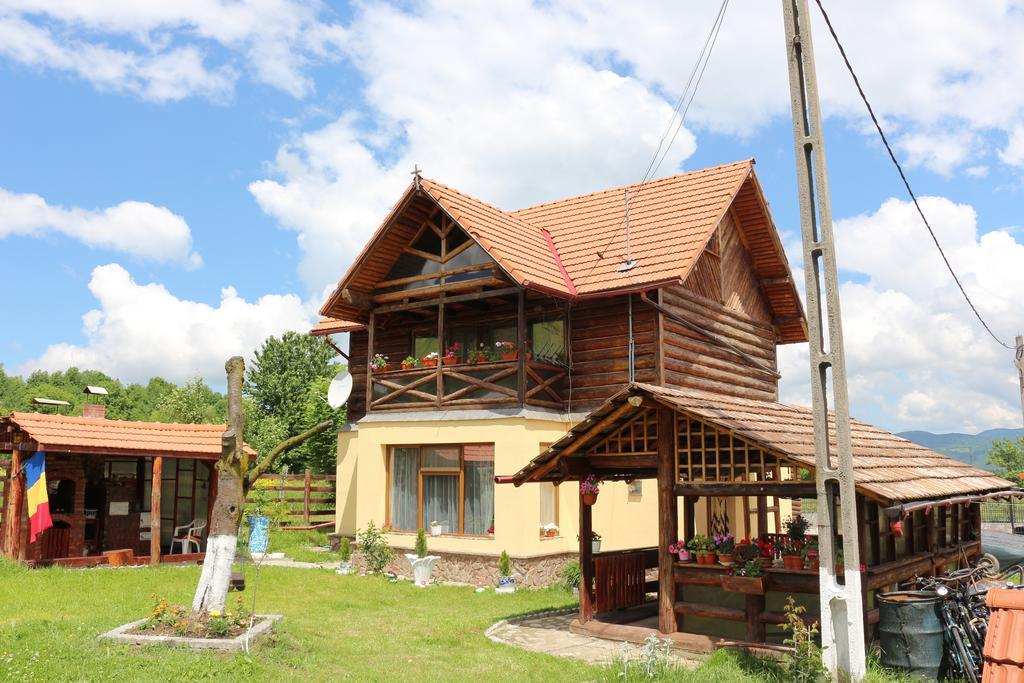 Cabana Ollie Retezat Riu Barbat Exterior foto
